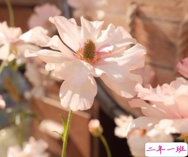 适合十一月发朋友圈温暖人心的文案 放弃不难但坚持一定很酷8