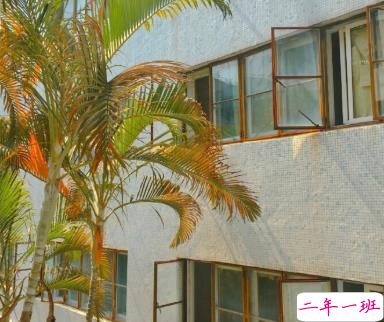 适合十一月发朋友圈温暖人心的文案 放弃不难但坚持一定很酷14