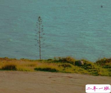 适合十一月发朋友圈温暖人心的文案 放弃不难但坚持一定很酷15