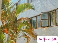 适合十一月发朋友圈温暖人心的文案 放弃不难但坚持一定很酷