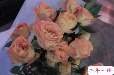 让你一眼就能心动的图片说说 清晨和夜晚都请用力去生活11