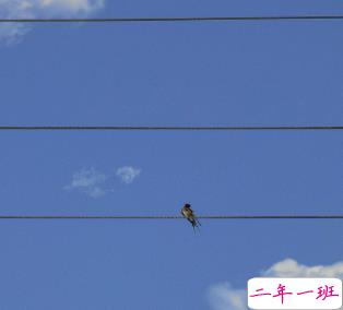 关于宇宙的极致浪漫句子 宇宙从有序到无序暂时经历的一个过程15