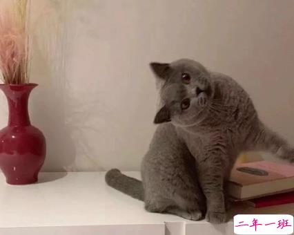 生活平淡的说说唯美简单 阳光那么好何必自寻烦恼2