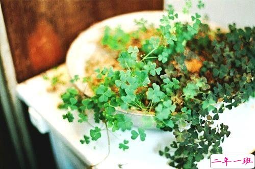 关于夏天的唯美文艺说说带图片 夏有彤云蔚然成风3