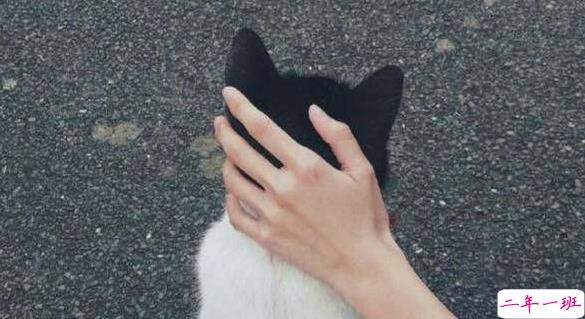 人生旅途中鼓舞你的很励志的正能量说说带图片4