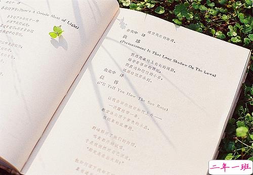 关于夏天的唯美文艺说说带图片 夏有彤云蔚然成风5