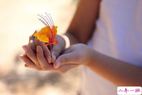 关于夏天的唯美文艺说说带图片 夏有彤云蔚然成风13