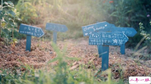 人生旅途中鼓舞你的很励志的正能量说说带图片13