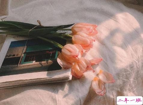 立秋早安说说带图片一句话短句 今日立秋祝你快乐1