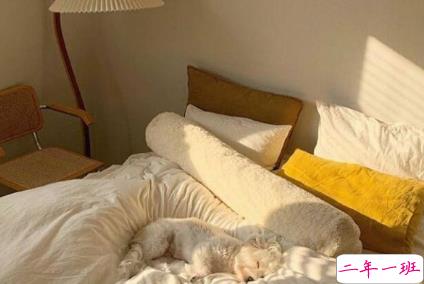 立秋早安说说带图片一句话短句 今日立秋祝你快乐10