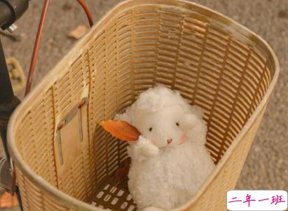 简短精辟的句子简单气质 没有人要有义务对你好6