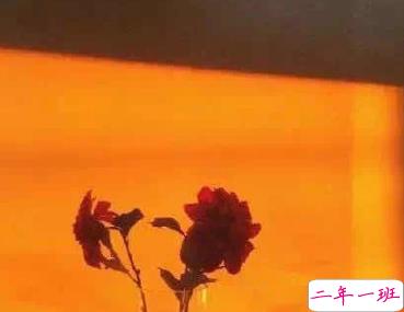 宝藏女孩专属甜句超级温柔 所有动听的话配上实际行动才有意义12