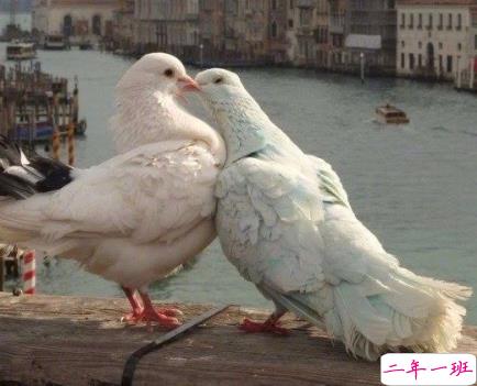 很暖很治愈的短句带唯美图片 打不开的心结就系成蝴蝶结2