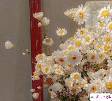 很暖很治愈的短句带唯美图片 打不开的心结就系成蝴蝶结3