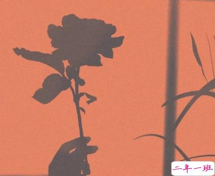 很暖很治愈的短句带唯美图片 打不开的心结就系成蝴蝶结4