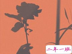 很暖很治愈的短句带唯美图片 打不开的心结就系成蝴蝶结