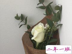 夏天小清新文案带图片 夏天简短微信说说