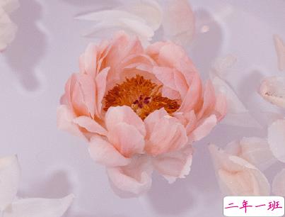 简短唯美小清新文案 微信小清新说说带图片3