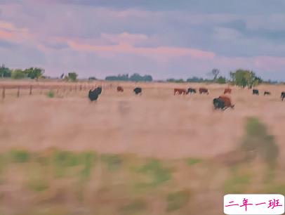 简短唯美小清新文案 微信小清新说说带图片5