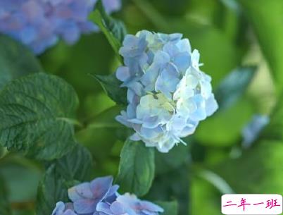 简短唯美小清新文案 微信小清新说说带图片6