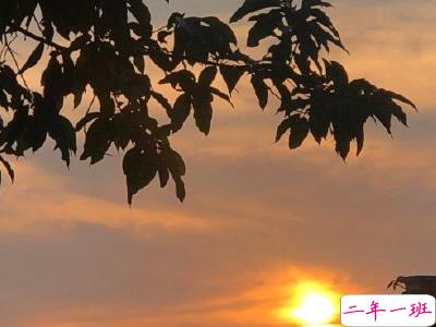 日出文案温柔句子 看日出的微信说说配图3