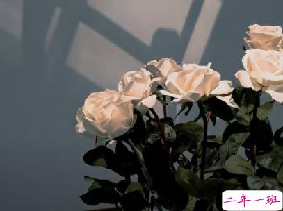 简短唯美小清新文案 微信小清新说说带图片12