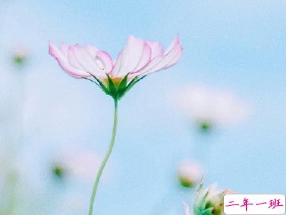 简短唯美小清新文案 微信小清新说说带图片14