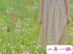 简短唯美小清新文案 微信小清新说说带图片