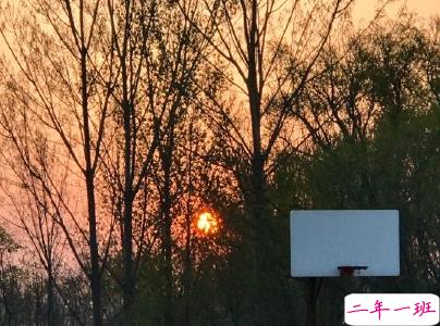 日出文案温柔句子 看日出的微信说说配图12