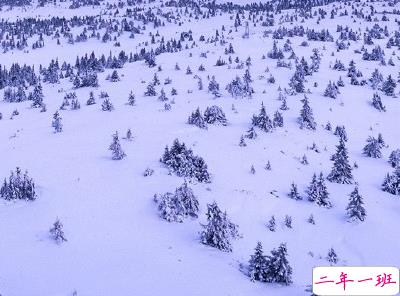 朋友圈晒雪景的句子带图片 下雪说说唯美简短配图2