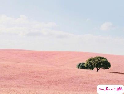 小清新唯美短句带图片 微信干净又舒服的说说2