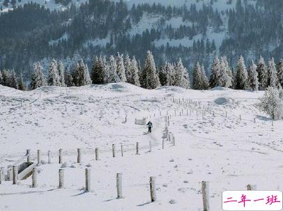 下雪天朋友圈唯美说说配图 下雪了说说简短一句话1