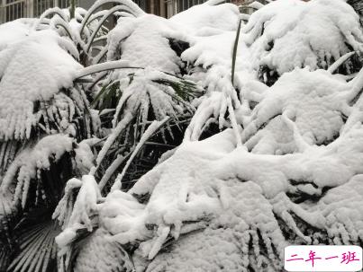 下雪天朋友圈唯美说说配图 下雪了说说简短一句话2