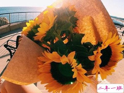 抖音最火文艺唯美说说配图 美到窒息的文艺句子带图片1