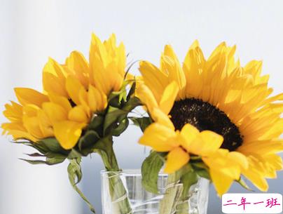 早安心语十字左右带图片 早安唯美一句话唯美说说精选4