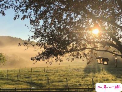 抖音最火文艺唯美说说配图 美到窒息的文艺句子带图片13