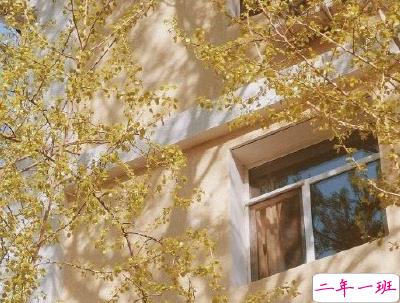 秋天朋友圈说说充满诗意 唯美有诗意的秋天说说配图11