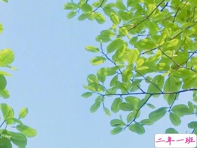 秋天朋友圈说说充满诗意 唯美有诗意的秋天说说配图14