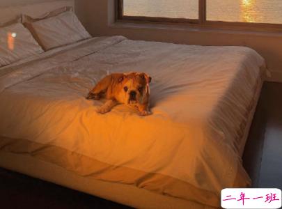 早安心语十字左右带图片 早安唯美一句话唯美说说精选12