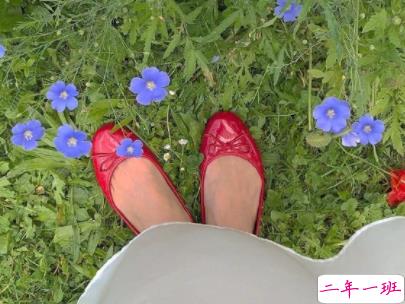 早安心语十字左右带图片 早安唯美一句话唯美说说精选14