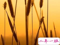 秋天朋友圈说说充满诗意 唯美有诗意的秋天说说配图