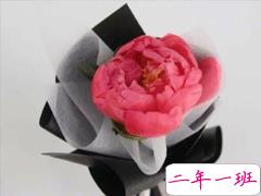 早安心语十字左右带图片 早安唯美一句话唯美说说精选