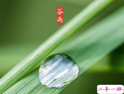 2020谷雨节气唯美说说配图 谷雨祝福唯美暖人心1