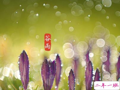 2020谷雨节气唯美说说配图 谷雨祝福唯美暖人心2