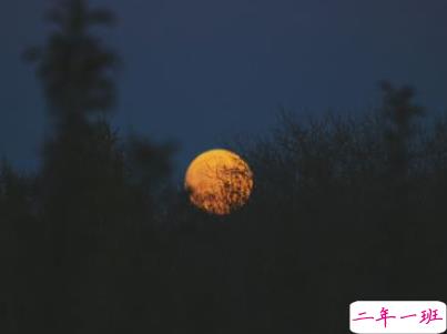 中秋节赏月的句子带图片 中秋团圆赏月的说说20195