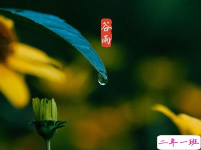 2020谷雨节气唯美说说配图 谷雨祝福唯美暖人心3