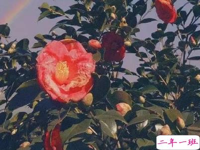 九月微信说说简短带图片 迎接九月的唯美句子201910