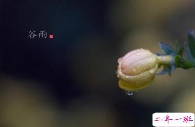 2020谷雨节气唯美说说配图 谷雨祝福唯美暖人心7