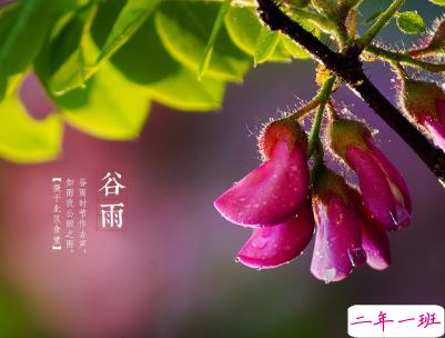 2020谷雨节气唯美说说配图 谷雨祝福唯美暖人心10