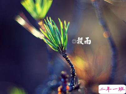 2020谷雨节气唯美说说配图 谷雨祝福唯美暖人心13